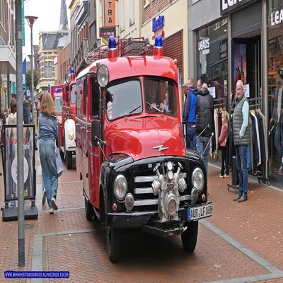 p1280898-standard.jpg