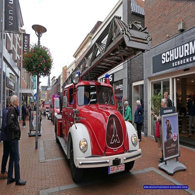 p1280902-standard.jpg