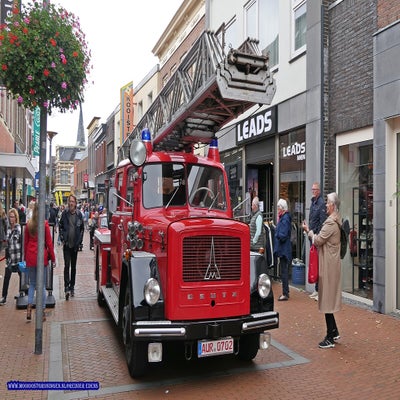 p1280915-standard.jpg