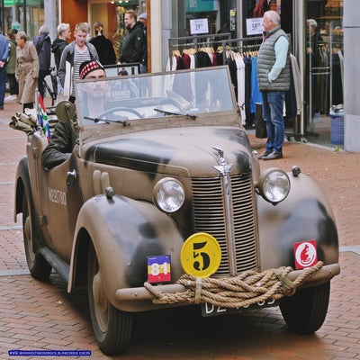 p1280929-standard.jpg