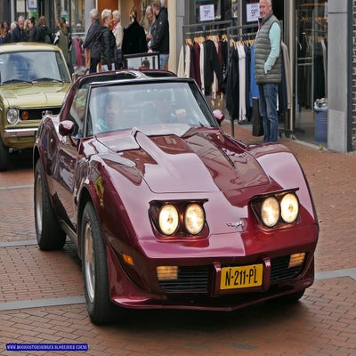 p1280952-standard.jpg