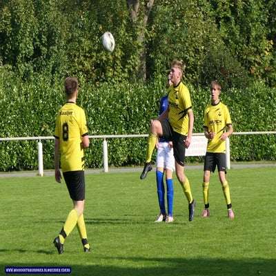 p1290094-standard.jpg