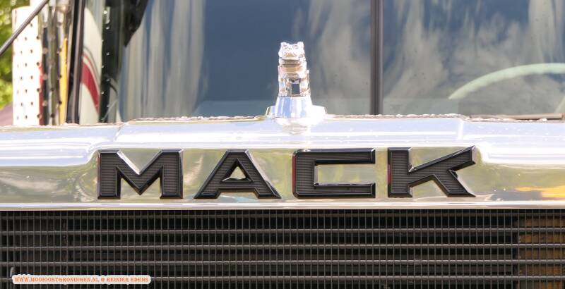 p1310605-standard.jpg