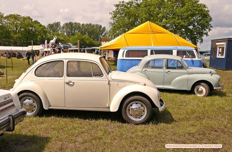 p1310617-standard.jpg