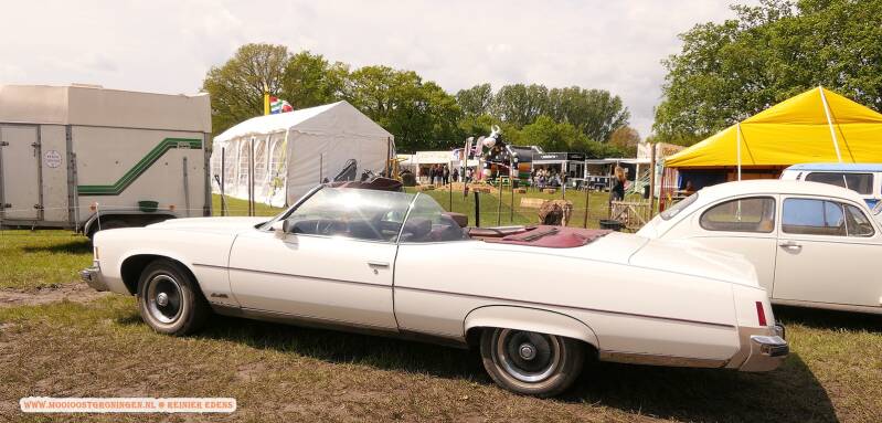 p1310619-standard.jpg