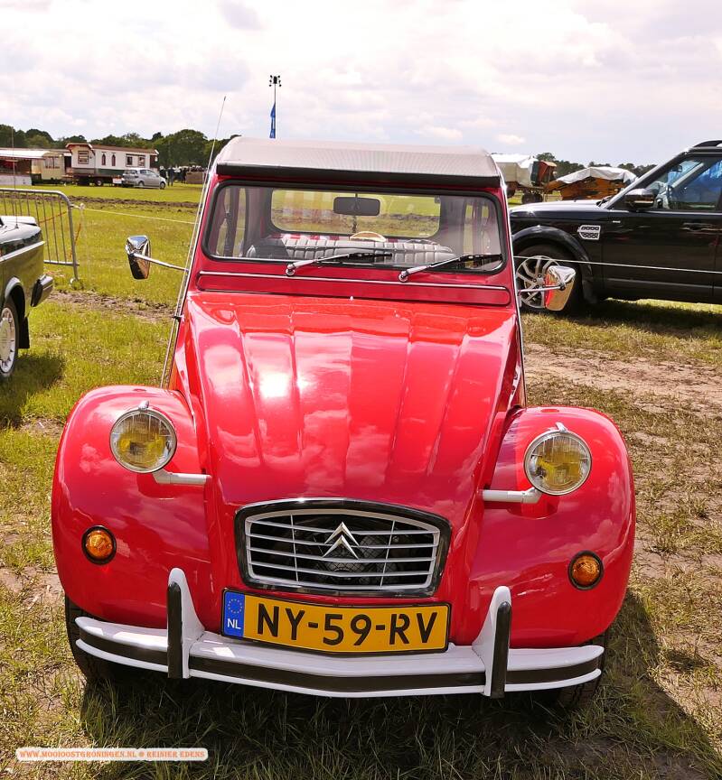 p1310620-standard.jpg