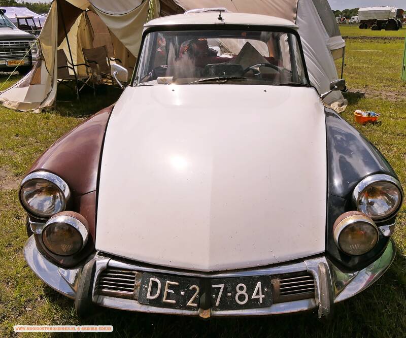 p1310629-standard.jpg
