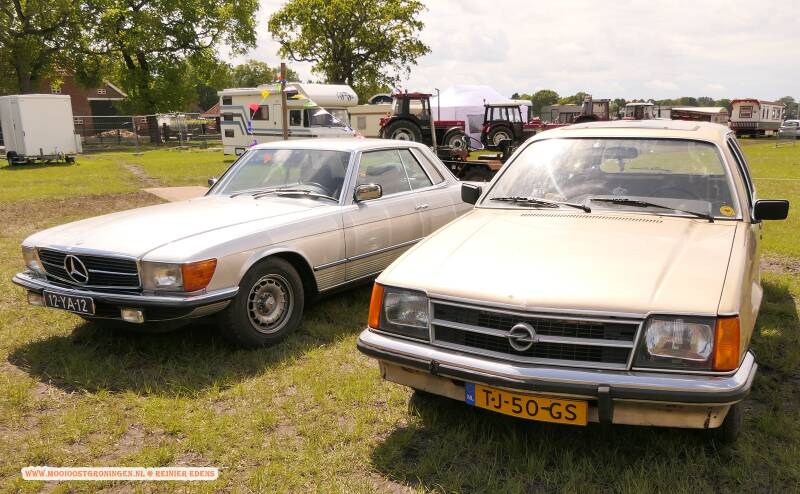 p1310633-standard.jpg
