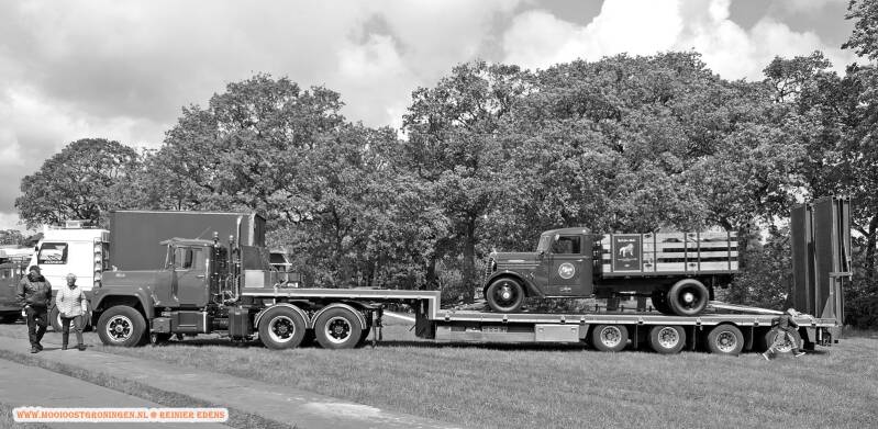 p1310637-standard.jpg