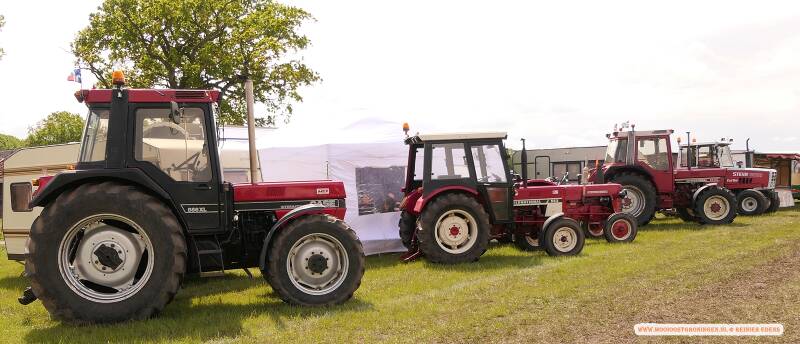 p1310641-standard.jpg