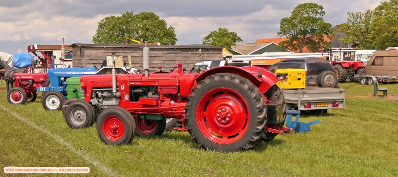 p1310662-standard.jpg