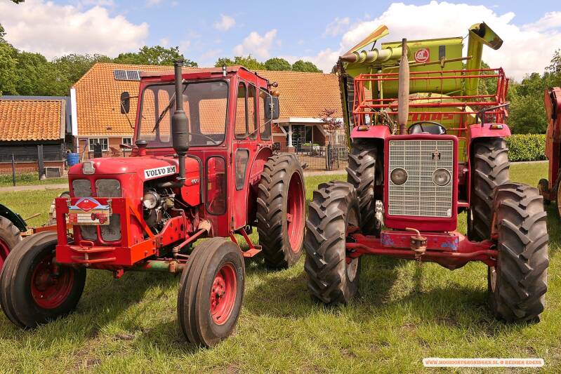 p1310665-standard.jpg
