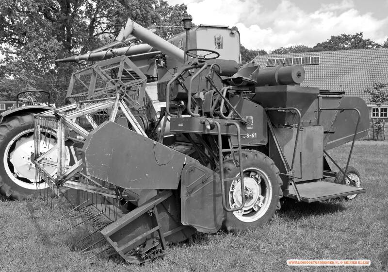 p1310669-standard.jpg