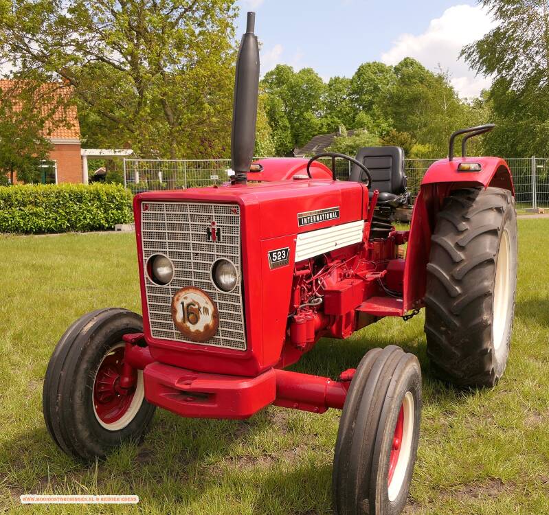 p1310675-standard.jpg