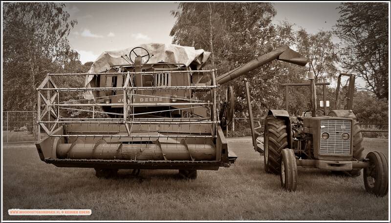 p1310681-standard.jpg