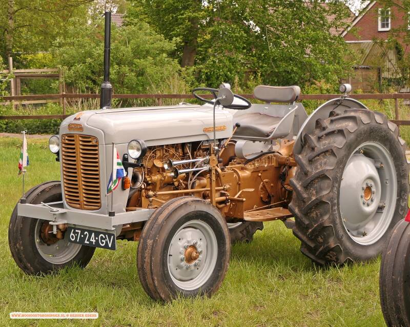 p1310693-standard.jpg