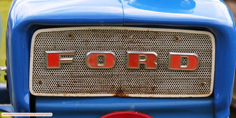 p1310698-standard.jpg