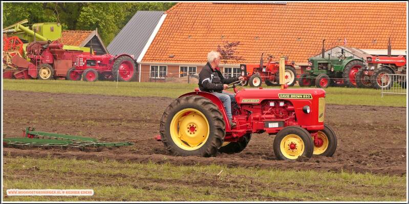 p1310717-standard.jpg