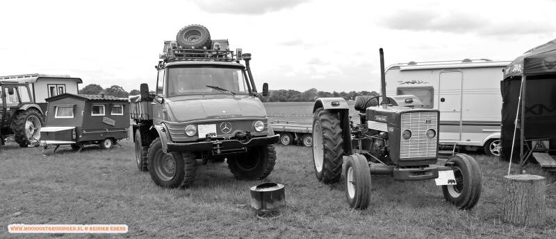 p1310747-standard.jpg
