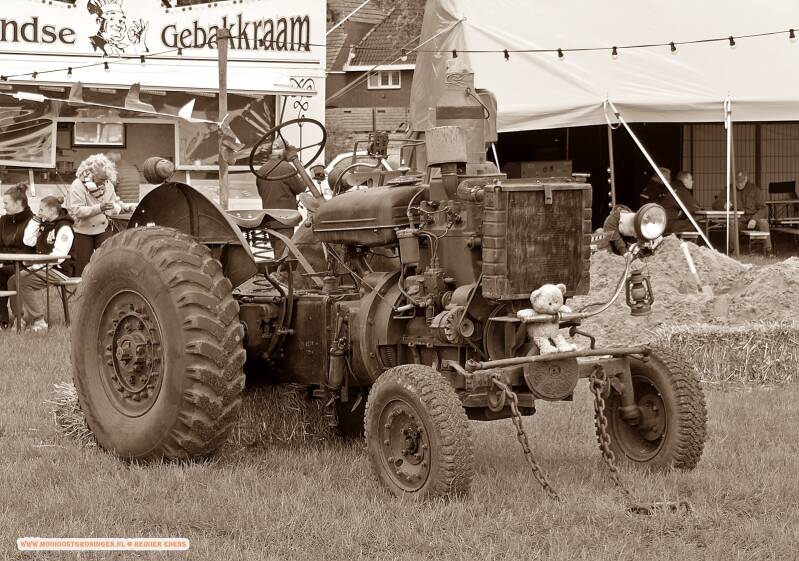 p1310774-standard.jpg