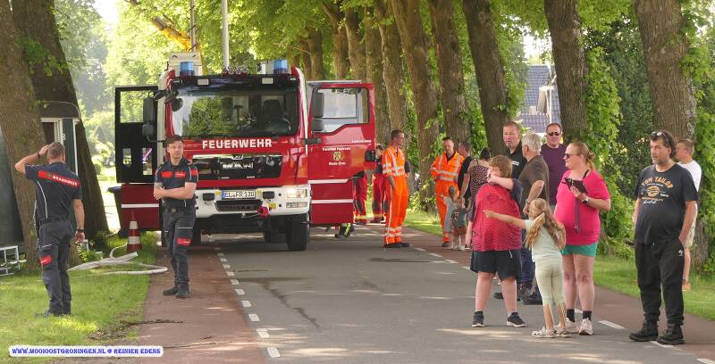 p1320538-standard.jpg