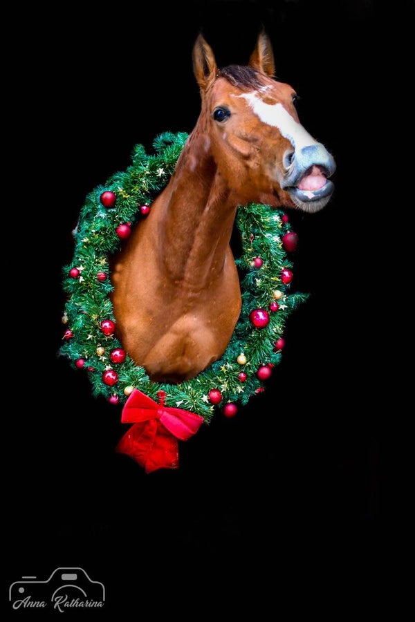 Weihnachtskranz Shooting