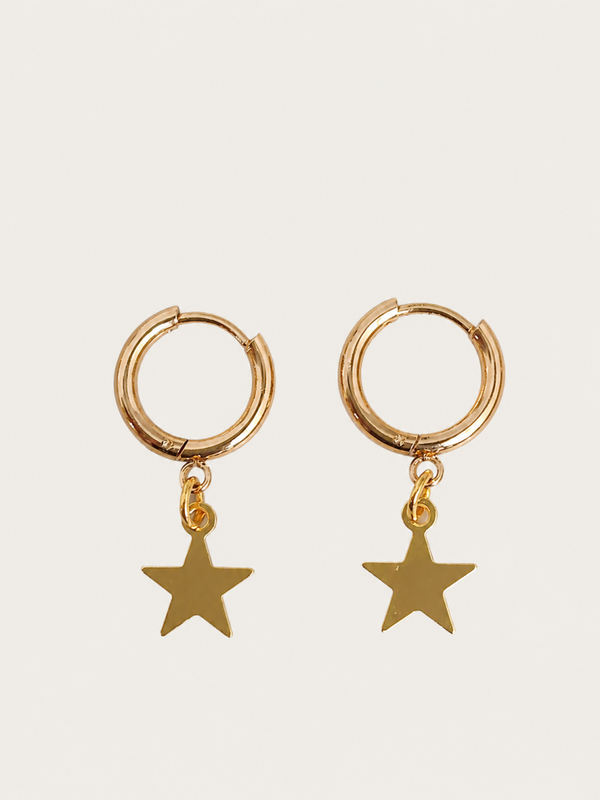 Little star oorbellen - stainless steel - goudkleurig