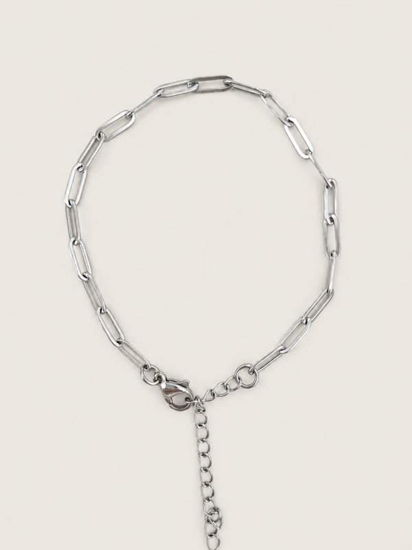 Futuro zilver - stainless steel - zilverkleurig