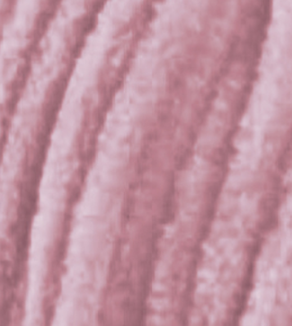 Himalaya Dolphin Fine 80526 blush