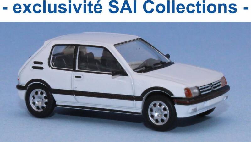 peugeot205gtiblancbanquise.jpeg