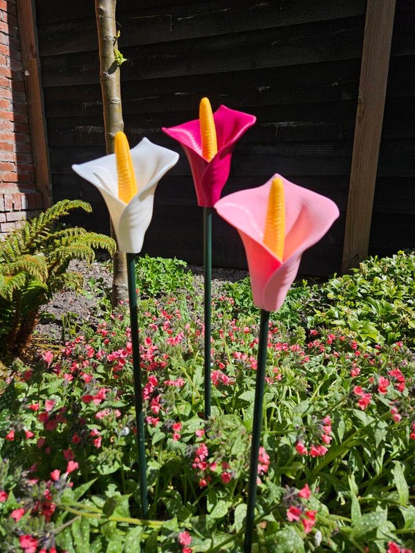 Decoratie aronskelk