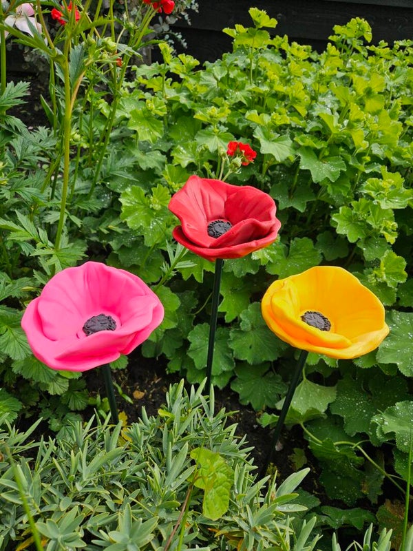 Papaverbloem voor insecten