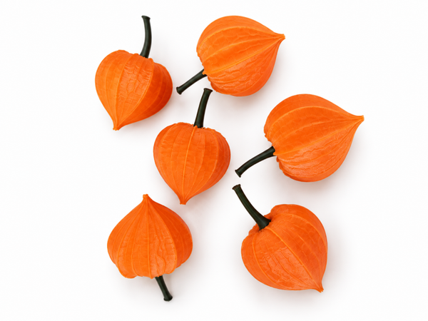3D-geprinte Physalis – sfeervolle decoratie