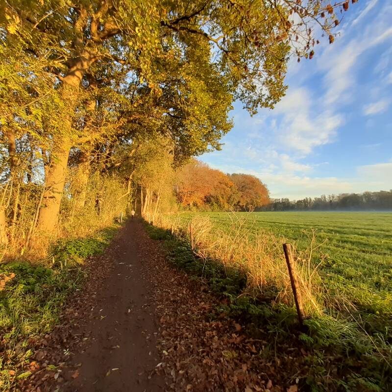 paadje langs het grote veld in gouden ochtendzon Naturugebied Zuilen