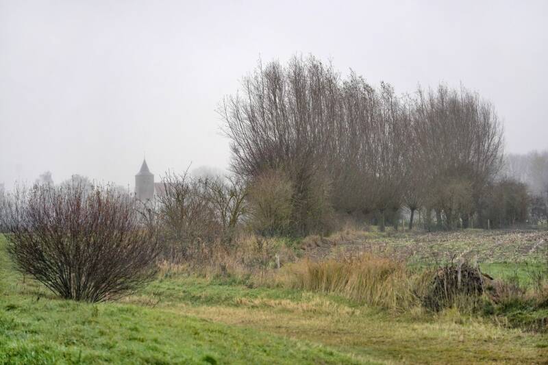 Heggen en  wildstroken in weidegebied Ooijpolder