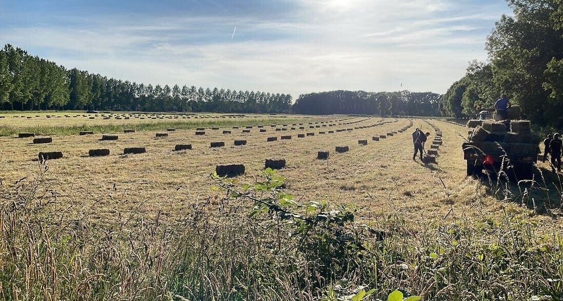 Rollen hooi op het land Natuurgebied Zuilen