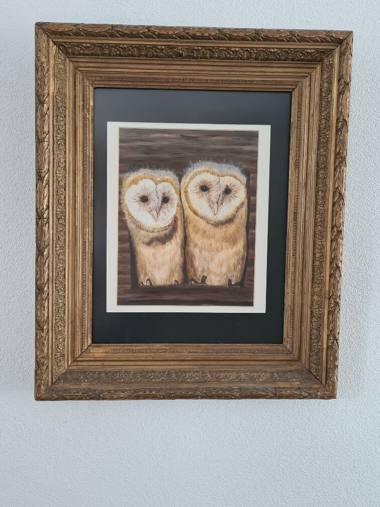 Kerkuilen op uitkijk.