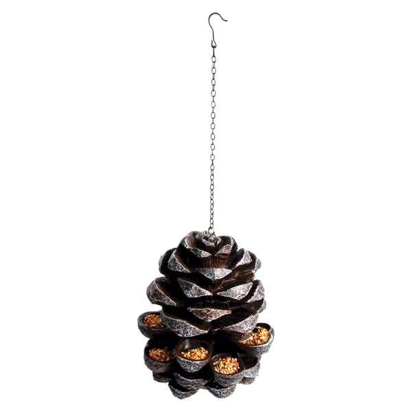 Voederdennenappel FB176