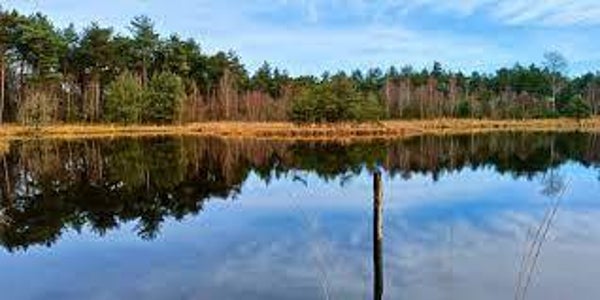 Oisterwijkse bossen en vennen