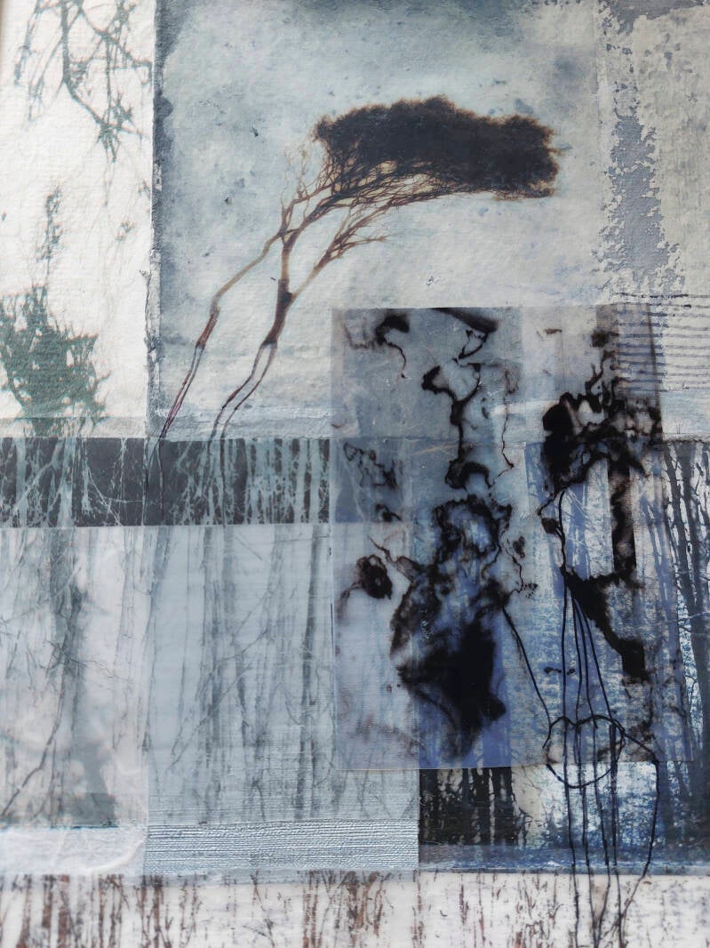 from seed to tree serie 