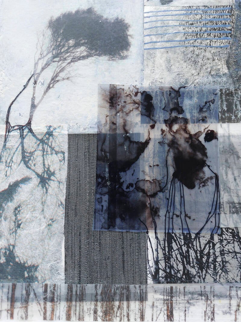 form seed to tree serie