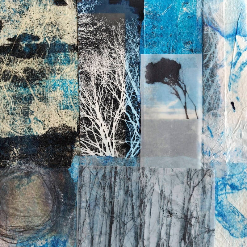 from-seed-to-tree-serie-of-two-collages-small-blue-standard.jpg