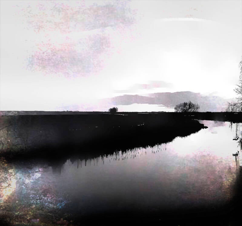 polder-eemnes-water-01-zwart-wit-bleached-01-standard-b8oxb3.jpg