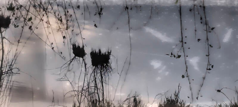 riet-eemnes-met-nest-scuffed-porttrait-touch-of-dramatic-abstraction-01-kopie-standard-8pc0wd.jpg