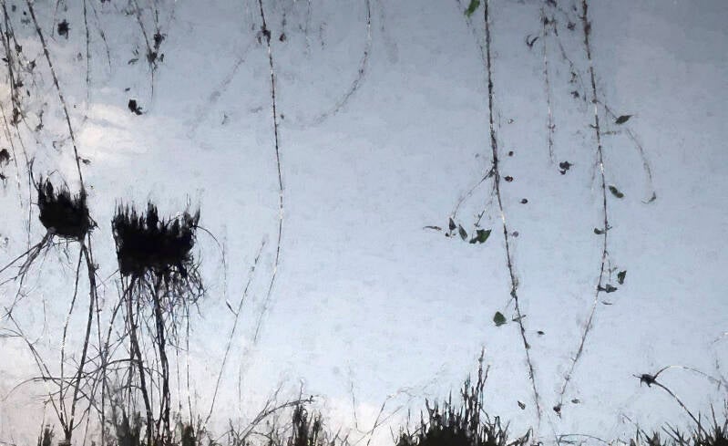 riet-eemnes-met-nest-scuffed-porttrait-touch-of-dramatic-obscurity-fading-away-galerie-01-standard-i56dzf.jpg