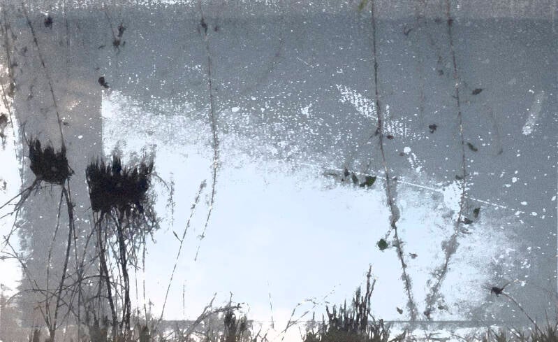 riet-eemnes-met-nest-scuffed-porttrait-touch-of-dramatic-obscurity-filmkorrel-galerie-01-standard-0pnovo.jpg