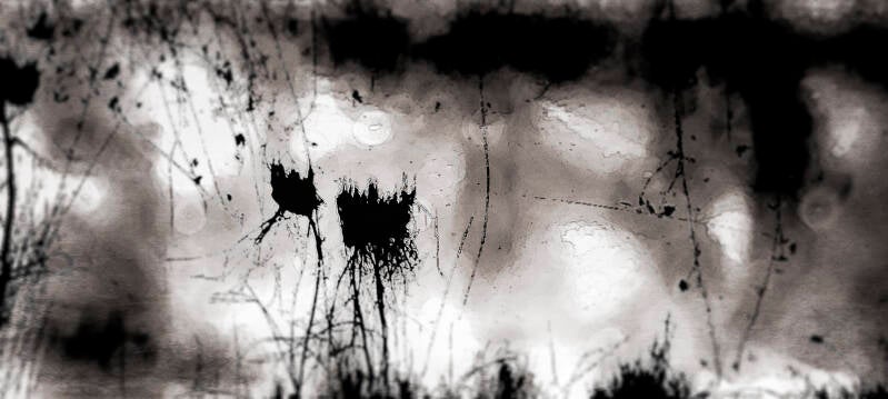 riet-eemnes-met-nest-scuffed-porttrait-touch-of-dramatic-obscurity-sepia-galerie-01-standard.jpg