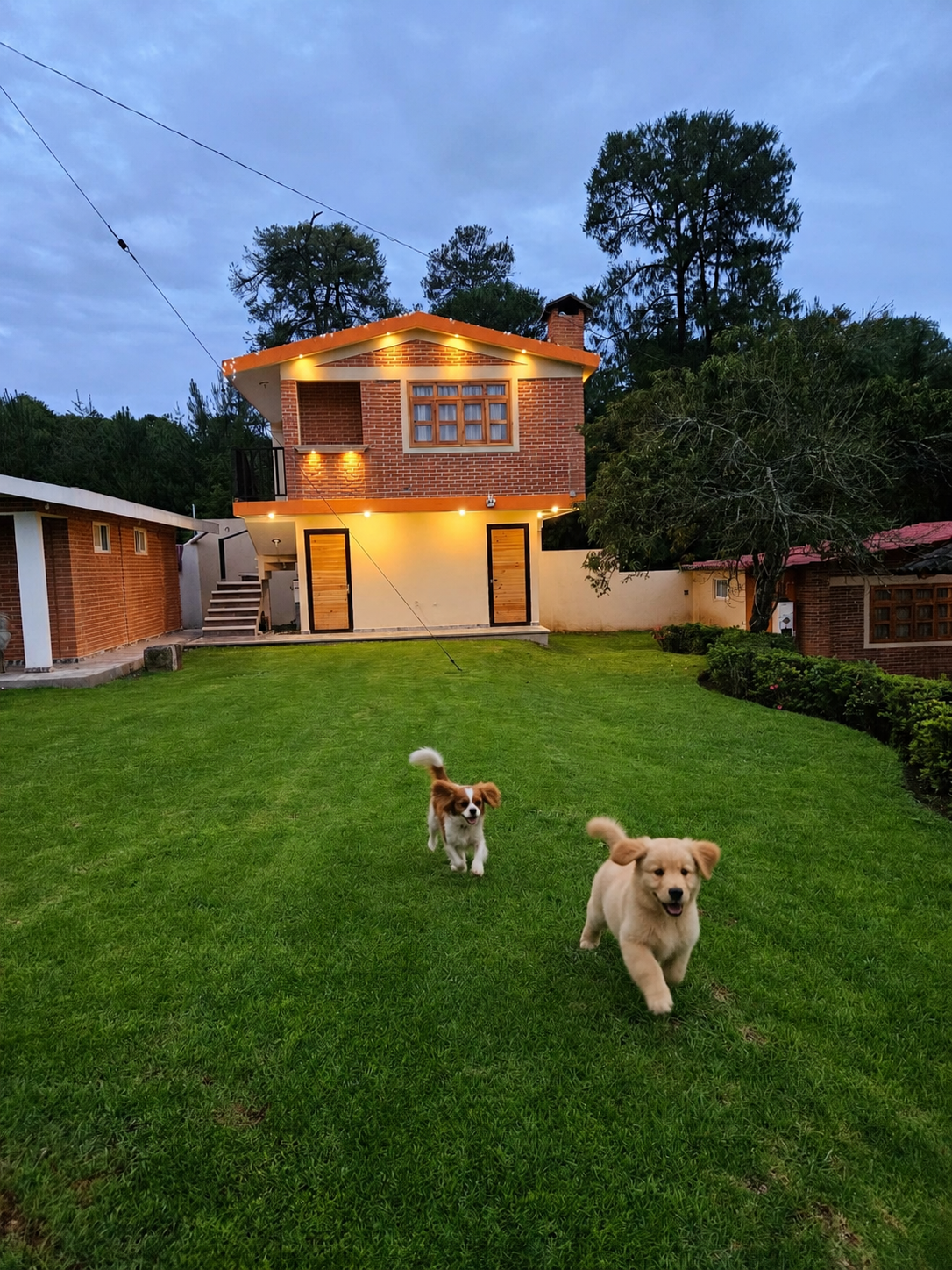 chatgpt-image-16-jun-2026-06_24_47-p-m-standard.png