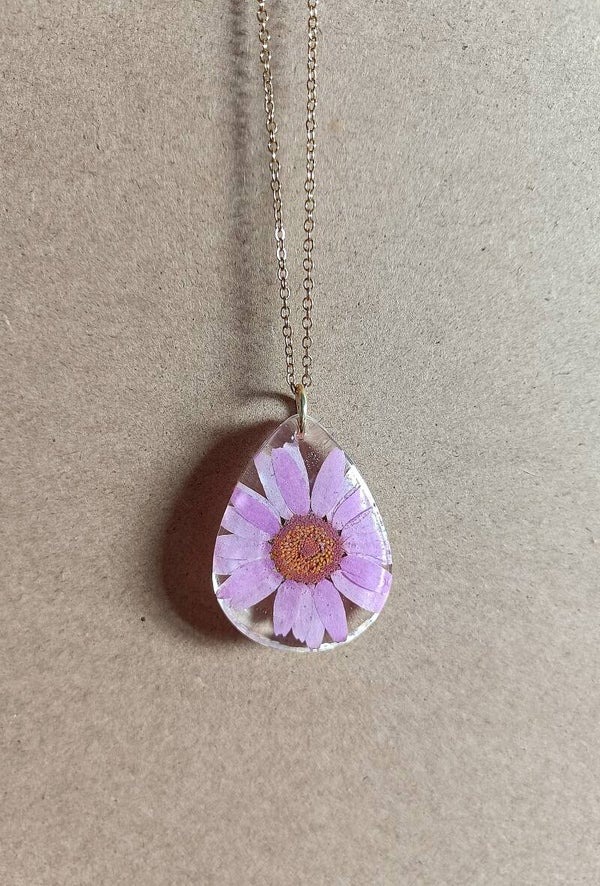 Collier éclosion