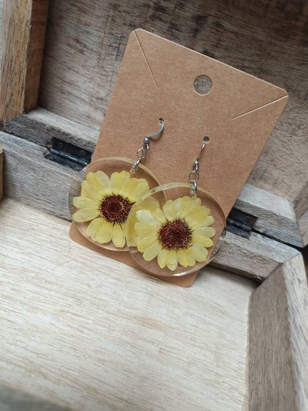 Boucles D'oreilles